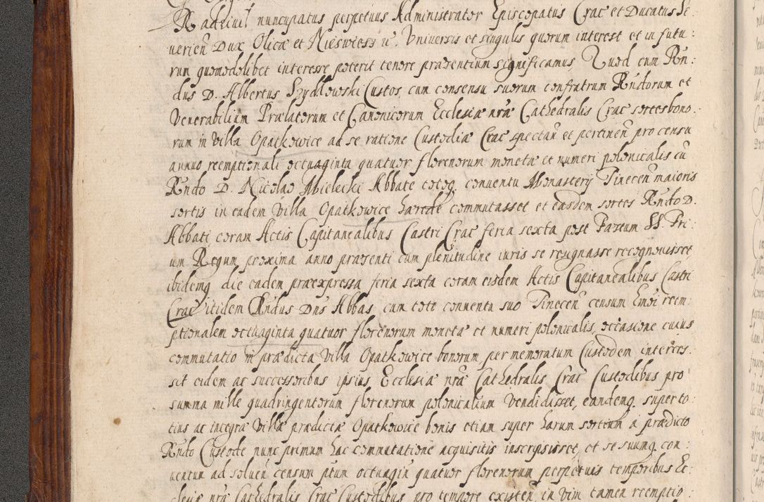 Zdjęcie nr 15 dla obiektu archiwalnego: Acta actorum, obligationum, erectionum, decretorum, rovisionum, instutionum, confirmationum caeterarumque causarum et negotiorum ad forum spirituale pertinentium coram R. D. Georgio S. R. E. Cardinali presbytero Radziwiłł nuncupato, perpetuo administratore episcopatus Cracoviensis et Ducatus Severiensis, duce in Olika et Nieśież, Sacrique Romani Imperii principe ab anno 1597 ad annum 1600 diem 12 Februarii inclusive, etiam sub ansentia eius Cracoviae acticatorum.