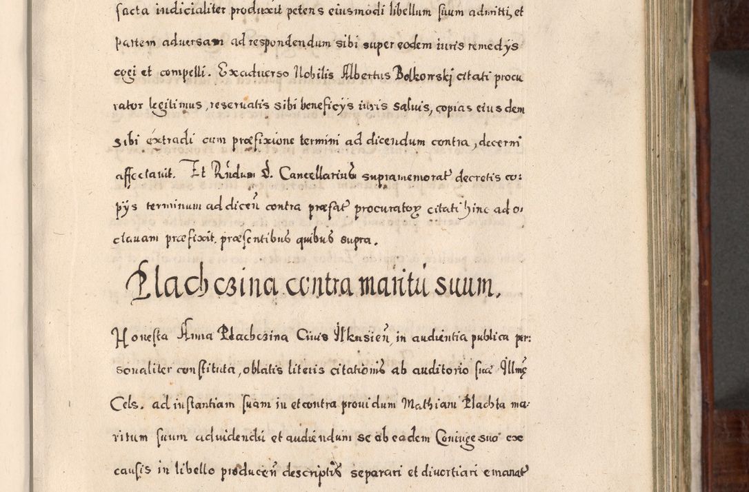 Zdjęcie nr 334 dla obiektu archiwalnego: Acta actorum, obligationum, erectionum, decretorum, rovisionum, instutionum, confirmationum caeterarumque causarum et negotiorum ad forum spirituale pertinentium coram R. D. Georgio S. R. E. Cardinali presbytero Radziwiłł nuncupato, perpetuo administratore episcopatus Cracoviensis et Ducatus Severiensis, duce in Olika et Nieśież, Sacrique Romani Imperii principe ab anno 1597 ad annum 1600 diem 12 Februarii inclusive, etiam sub ansentia eius Cracoviae acticatorum.