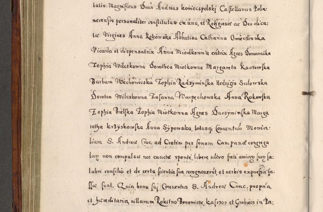 Zdjęcie nr 341 dla obiektu archiwalnego: Acta actorum, obligationum, erectionum, decretorum, rovisionum, instutionum, confirmationum caeterarumque causarum et negotiorum ad forum spirituale pertinentium coram R. D. Georgio S. R. E. Cardinali presbytero Radziwiłł nuncupato, perpetuo administratore episcopatus Cracoviensis et Ducatus Severiensis, duce in Olika et Nieśież, Sacrique Romani Imperii principe ab anno 1597 ad annum 1600 diem 12 Februarii inclusive, etiam sub ansentia eius Cracoviae acticatorum.