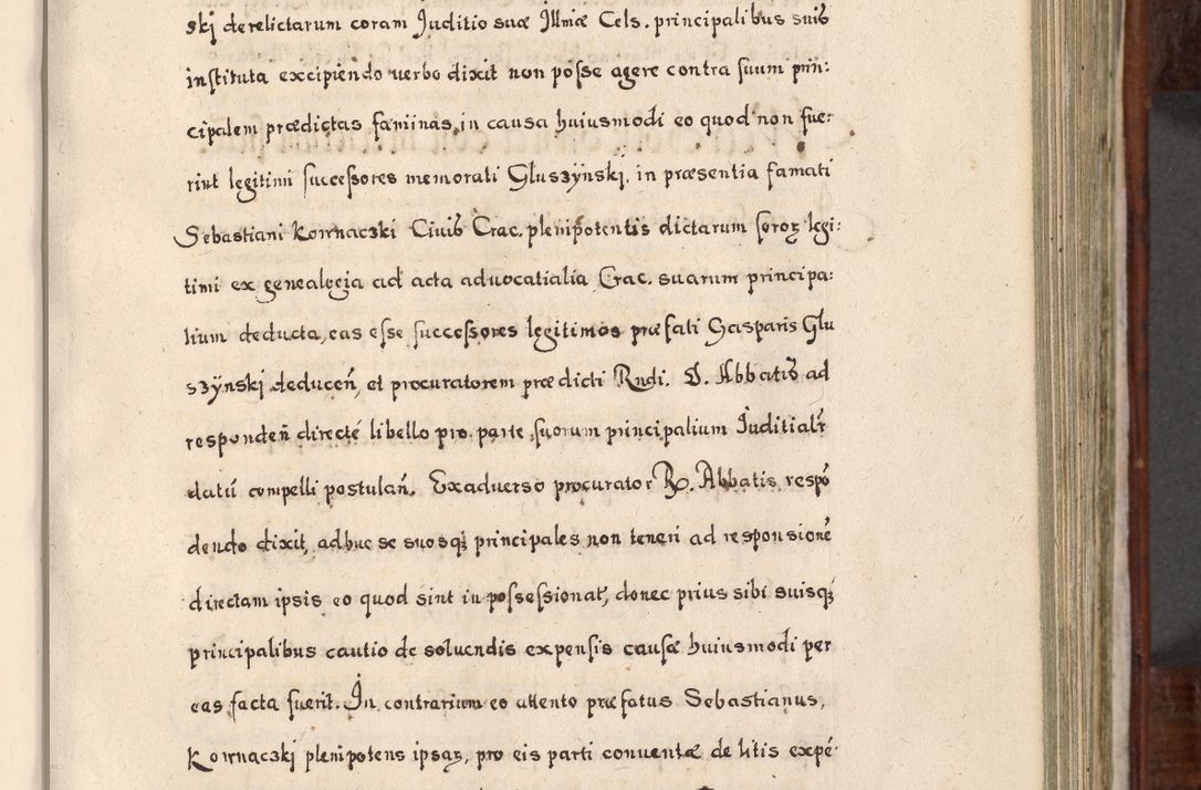 Zdjęcie nr 316 dla obiektu archiwalnego: Acta actorum, obligationum, erectionum, decretorum, rovisionum, instutionum, confirmationum caeterarumque causarum et negotiorum ad forum spirituale pertinentium coram R. D. Georgio S. R. E. Cardinali presbytero Radziwiłł nuncupato, perpetuo administratore episcopatus Cracoviensis et Ducatus Severiensis, duce in Olika et Nieśież, Sacrique Romani Imperii principe ab anno 1597 ad annum 1600 diem 12 Februarii inclusive, etiam sub ansentia eius Cracoviae acticatorum.