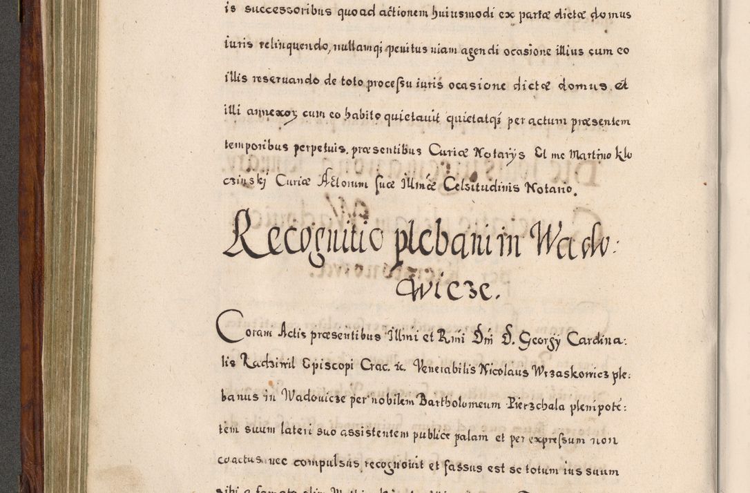 Zdjęcie nr 313 dla obiektu archiwalnego: Acta actorum, obligationum, erectionum, decretorum, rovisionum, instutionum, confirmationum caeterarumque causarum et negotiorum ad forum spirituale pertinentium coram R. D. Georgio S. R. E. Cardinali presbytero Radziwiłł nuncupato, perpetuo administratore episcopatus Cracoviensis et Ducatus Severiensis, duce in Olika et Nieśież, Sacrique Romani Imperii principe ab anno 1597 ad annum 1600 diem 12 Februarii inclusive, etiam sub ansentia eius Cracoviae acticatorum.
