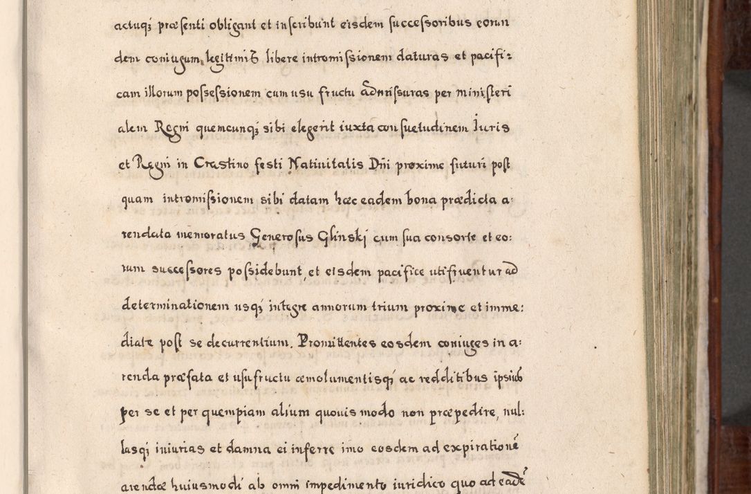 Zdjęcie nr 292 dla obiektu archiwalnego: Acta actorum, obligationum, erectionum, decretorum, rovisionum, instutionum, confirmationum caeterarumque causarum et negotiorum ad forum spirituale pertinentium coram R. D. Georgio S. R. E. Cardinali presbytero Radziwiłł nuncupato, perpetuo administratore episcopatus Cracoviensis et Ducatus Severiensis, duce in Olika et Nieśież, Sacrique Romani Imperii principe ab anno 1597 ad annum 1600 diem 12 Februarii inclusive, etiam sub ansentia eius Cracoviae acticatorum.