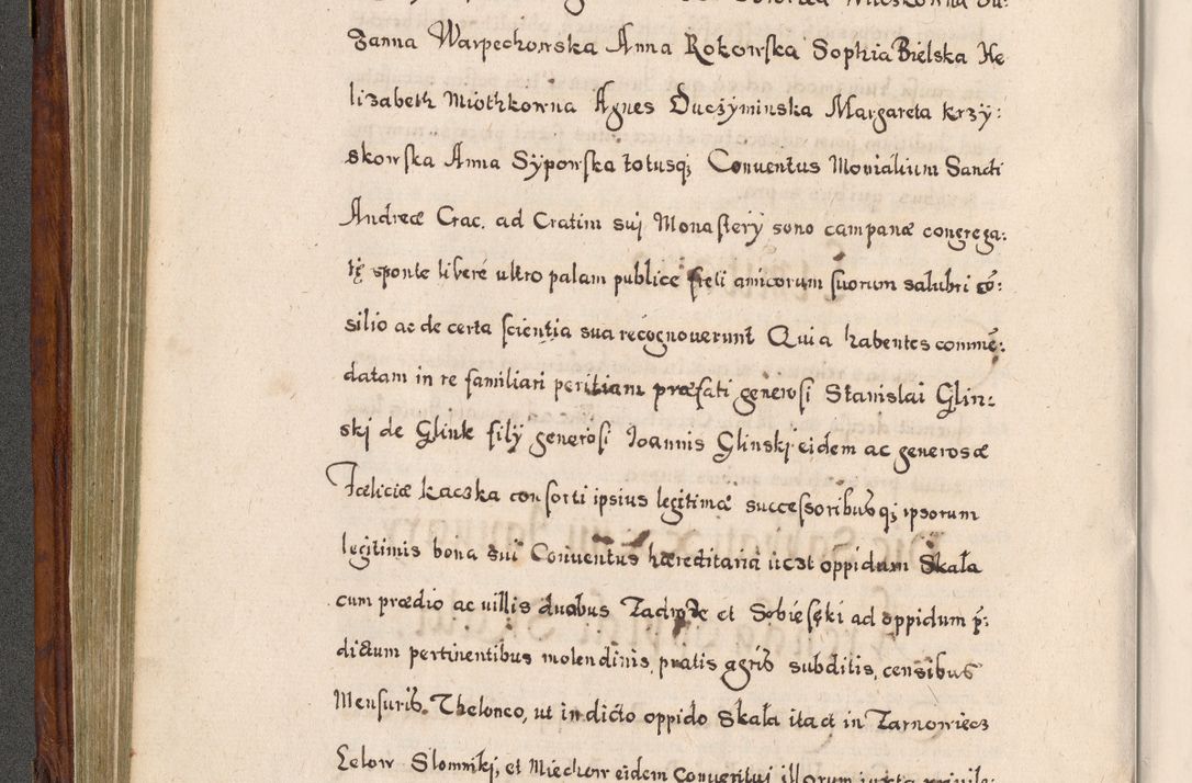 Zdjęcie nr 291 dla obiektu archiwalnego: Acta actorum, obligationum, erectionum, decretorum, rovisionum, instutionum, confirmationum caeterarumque causarum et negotiorum ad forum spirituale pertinentium coram R. D. Georgio S. R. E. Cardinali presbytero Radziwiłł nuncupato, perpetuo administratore episcopatus Cracoviensis et Ducatus Severiensis, duce in Olika et Nieśież, Sacrique Romani Imperii principe ab anno 1597 ad annum 1600 diem 12 Februarii inclusive, etiam sub ansentia eius Cracoviae acticatorum.
