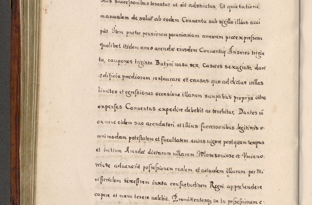 Zdjęcie nr 273 dla obiektu archiwalnego: Acta actorum, obligationum, erectionum, decretorum, rovisionum, instutionum, confirmationum caeterarumque causarum et negotiorum ad forum spirituale pertinentium coram R. D. Georgio S. R. E. Cardinali presbytero Radziwiłł nuncupato, perpetuo administratore episcopatus Cracoviensis et Ducatus Severiensis, duce in Olika et Nieśież, Sacrique Romani Imperii principe ab anno 1597 ad annum 1600 diem 12 Februarii inclusive, etiam sub ansentia eius Cracoviae acticatorum.