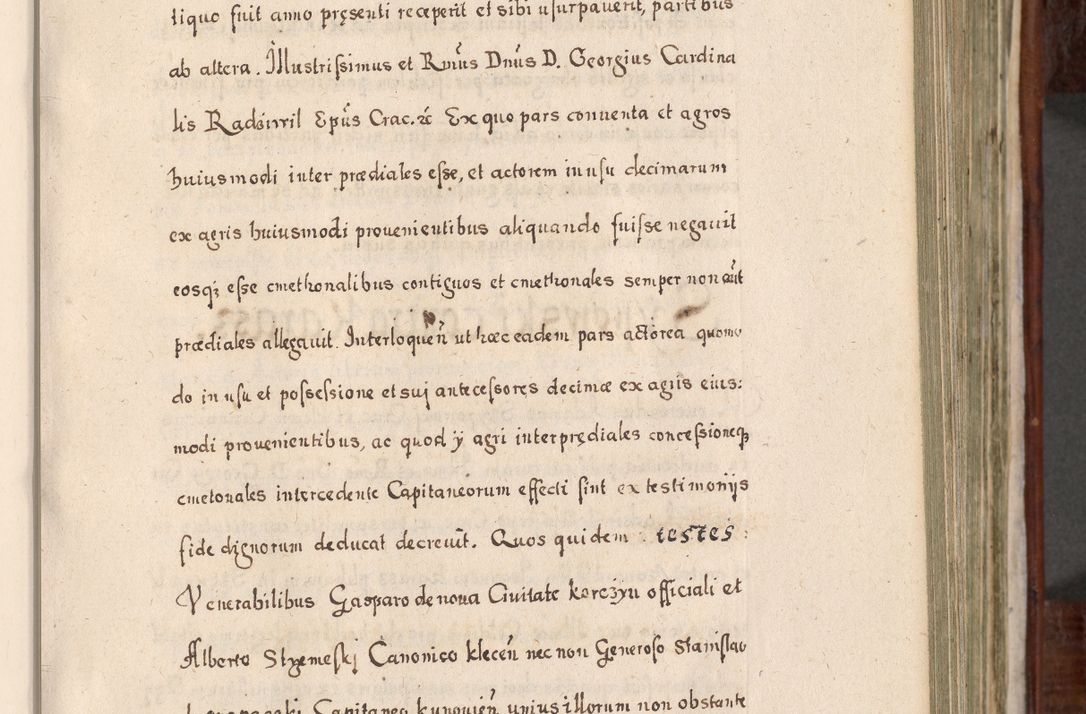 Zdjęcie nr 252 dla obiektu archiwalnego: Acta actorum, obligationum, erectionum, decretorum, rovisionum, instutionum, confirmationum caeterarumque causarum et negotiorum ad forum spirituale pertinentium coram R. D. Georgio S. R. E. Cardinali presbytero Radziwiłł nuncupato, perpetuo administratore episcopatus Cracoviensis et Ducatus Severiensis, duce in Olika et Nieśież, Sacrique Romani Imperii principe ab anno 1597 ad annum 1600 diem 12 Februarii inclusive, etiam sub ansentia eius Cracoviae acticatorum.