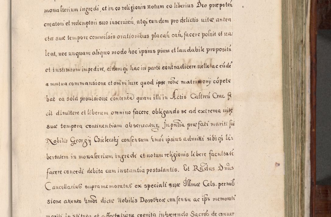 Zdjęcie nr 226 dla obiektu archiwalnego: Acta actorum, obligationum, erectionum, decretorum, rovisionum, instutionum, confirmationum caeterarumque causarum et negotiorum ad forum spirituale pertinentium coram R. D. Georgio S. R. E. Cardinali presbytero Radziwiłł nuncupato, perpetuo administratore episcopatus Cracoviensis et Ducatus Severiensis, duce in Olika et Nieśież, Sacrique Romani Imperii principe ab anno 1597 ad annum 1600 diem 12 Februarii inclusive, etiam sub ansentia eius Cracoviae acticatorum.
