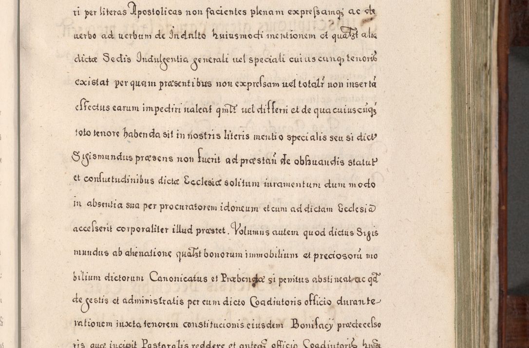 Zdjęcie nr 214 dla obiektu archiwalnego: Acta actorum, obligationum, erectionum, decretorum, rovisionum, instutionum, confirmationum caeterarumque causarum et negotiorum ad forum spirituale pertinentium coram R. D. Georgio S. R. E. Cardinali presbytero Radziwiłł nuncupato, perpetuo administratore episcopatus Cracoviensis et Ducatus Severiensis, duce in Olika et Nieśież, Sacrique Romani Imperii principe ab anno 1597 ad annum 1600 diem 12 Februarii inclusive, etiam sub ansentia eius Cracoviae acticatorum.