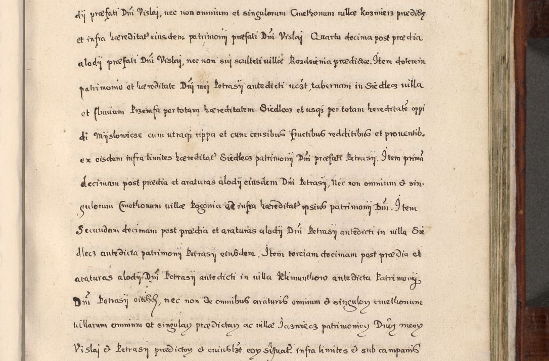 Zdjęcie nr 590 dla obiektu archiwalnego: Acta actorum, obligationum, erectionum, decretorum, rovisionum, instutionum, confirmationum caeterarumque causarum et negotiorum ad forum spirituale pertinentium coram R. D. Georgio S. R. E. Cardinali presbytero Radziwiłł nuncupato, perpetuo administratore episcopatus Cracoviensis et Ducatus Severiensis, duce in Olika et Nieśież, Sacrique Romani Imperii principe ab anno 1597 ad annum 1600 diem 12 Februarii inclusive, etiam sub ansentia eius Cracoviae acticatorum.