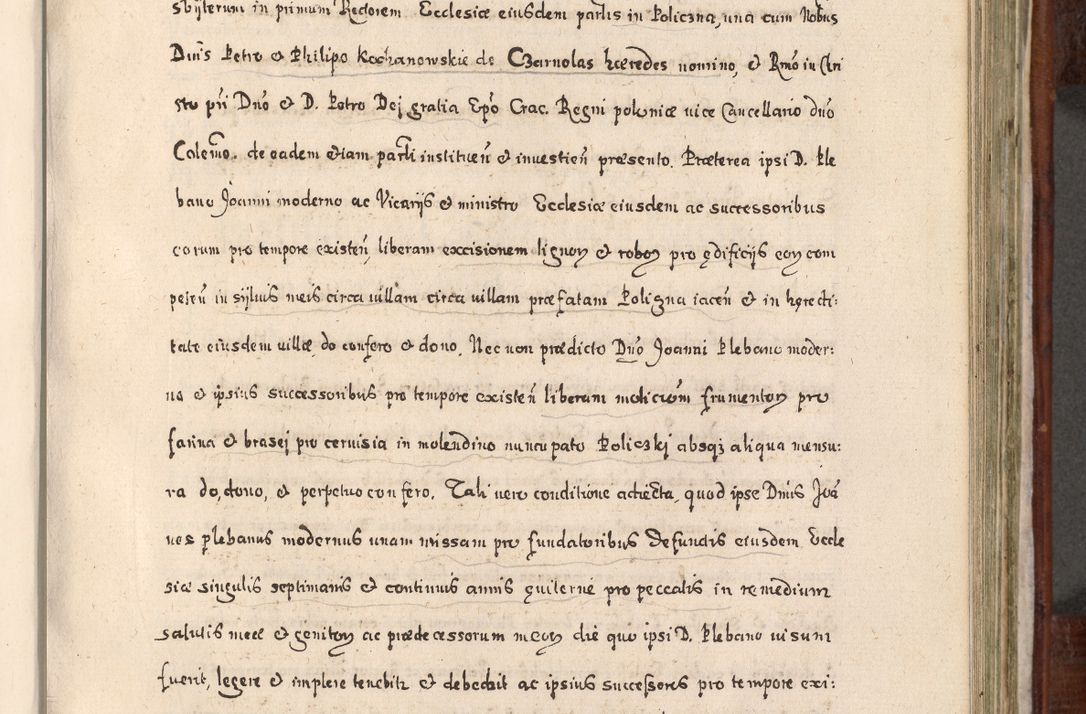 Zdjęcie nr 546 dla obiektu archiwalnego: Acta actorum, obligationum, erectionum, decretorum, rovisionum, instutionum, confirmationum caeterarumque causarum et negotiorum ad forum spirituale pertinentium coram R. D. Georgio S. R. E. Cardinali presbytero Radziwiłł nuncupato, perpetuo administratore episcopatus Cracoviensis et Ducatus Severiensis, duce in Olika et Nieśież, Sacrique Romani Imperii principe ab anno 1597 ad annum 1600 diem 12 Februarii inclusive, etiam sub ansentia eius Cracoviae acticatorum.