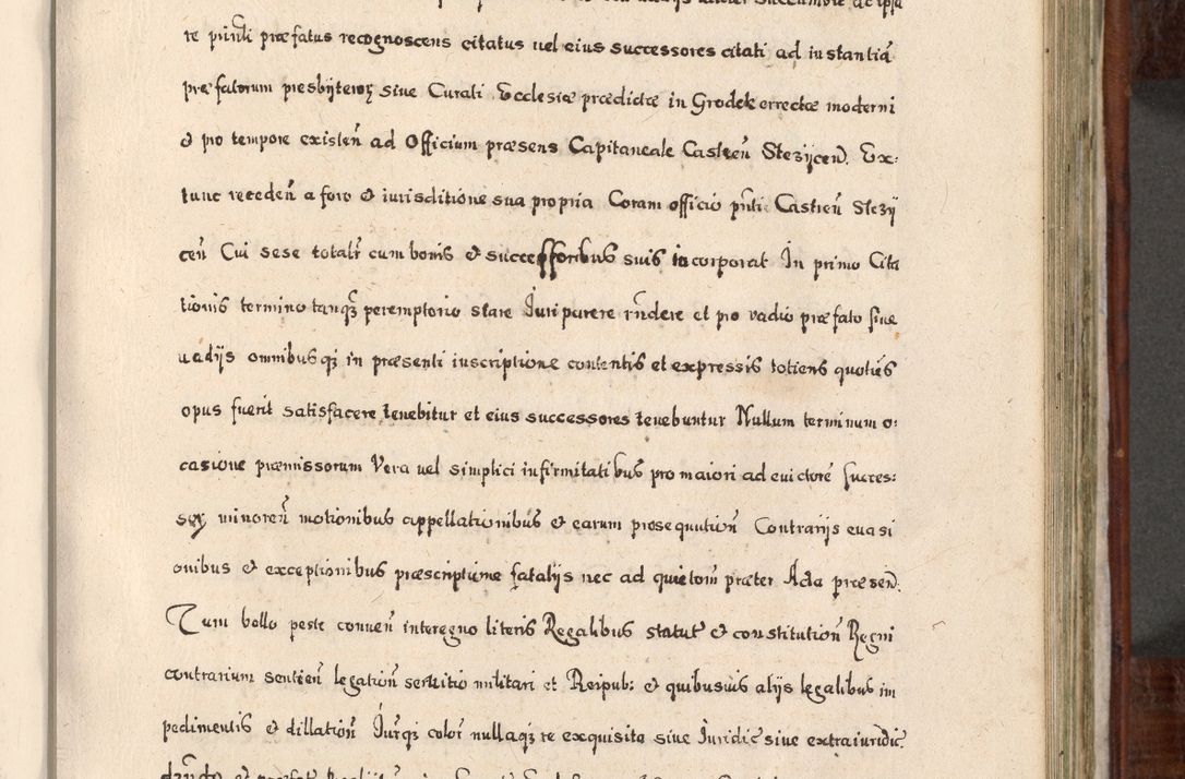 Zdjęcie nr 528 dla obiektu archiwalnego: Acta actorum, obligationum, erectionum, decretorum, rovisionum, instutionum, confirmationum caeterarumque causarum et negotiorum ad forum spirituale pertinentium coram R. D. Georgio S. R. E. Cardinali presbytero Radziwiłł nuncupato, perpetuo administratore episcopatus Cracoviensis et Ducatus Severiensis, duce in Olika et Nieśież, Sacrique Romani Imperii principe ab anno 1597 ad annum 1600 diem 12 Februarii inclusive, etiam sub ansentia eius Cracoviae acticatorum.