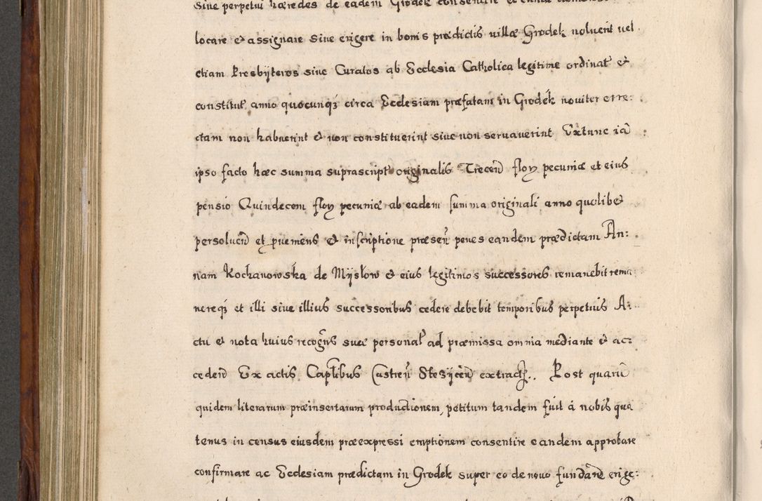 Zdjęcie nr 529 dla obiektu archiwalnego: Acta actorum, obligationum, erectionum, decretorum, rovisionum, instutionum, confirmationum caeterarumque causarum et negotiorum ad forum spirituale pertinentium coram R. D. Georgio S. R. E. Cardinali presbytero Radziwiłł nuncupato, perpetuo administratore episcopatus Cracoviensis et Ducatus Severiensis, duce in Olika et Nieśież, Sacrique Romani Imperii principe ab anno 1597 ad annum 1600 diem 12 Februarii inclusive, etiam sub ansentia eius Cracoviae acticatorum.