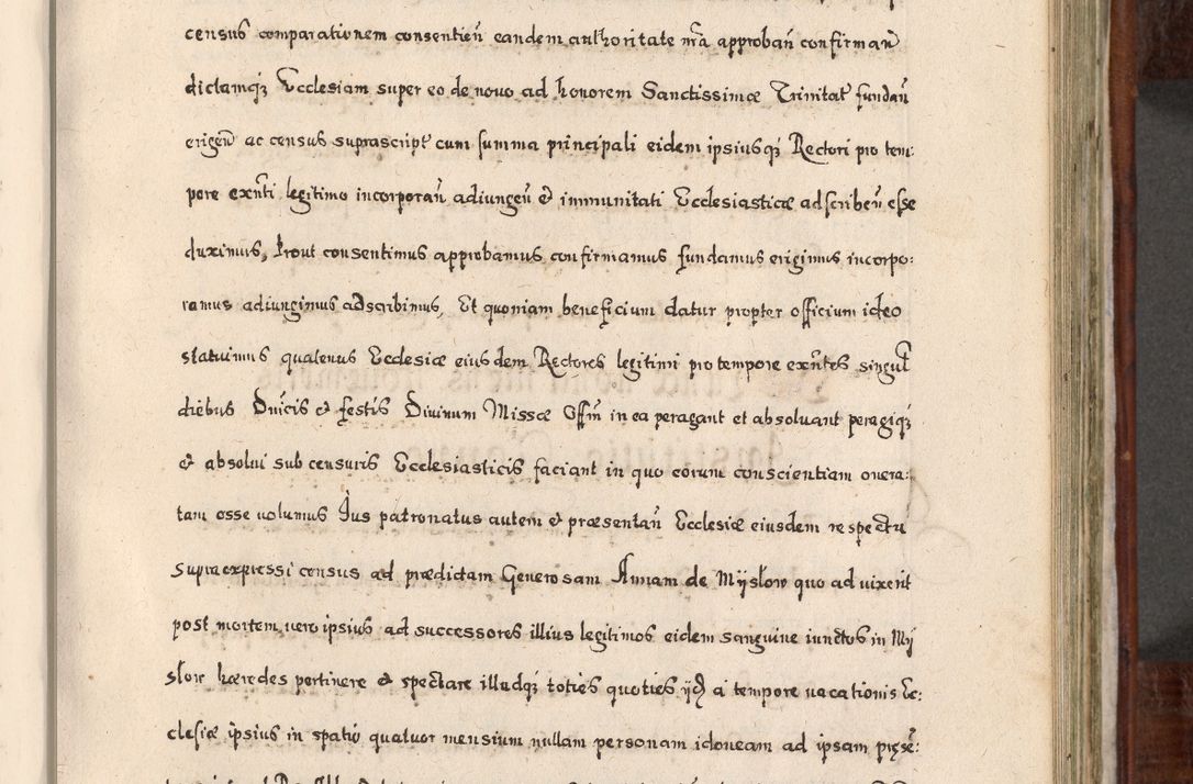 Zdjęcie nr 530 dla obiektu archiwalnego: Acta actorum, obligationum, erectionum, decretorum, rovisionum, instutionum, confirmationum caeterarumque causarum et negotiorum ad forum spirituale pertinentium coram R. D. Georgio S. R. E. Cardinali presbytero Radziwiłł nuncupato, perpetuo administratore episcopatus Cracoviensis et Ducatus Severiensis, duce in Olika et Nieśież, Sacrique Romani Imperii principe ab anno 1597 ad annum 1600 diem 12 Februarii inclusive, etiam sub ansentia eius Cracoviae acticatorum.
