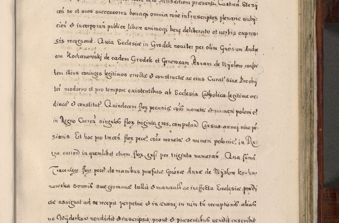 Zdjęcie nr 526 dla obiektu archiwalnego: Acta actorum, obligationum, erectionum, decretorum, rovisionum, instutionum, confirmationum caeterarumque causarum et negotiorum ad forum spirituale pertinentium coram R. D. Georgio S. R. E. Cardinali presbytero Radziwiłł nuncupato, perpetuo administratore episcopatus Cracoviensis et Ducatus Severiensis, duce in Olika et Nieśież, Sacrique Romani Imperii principe ab anno 1597 ad annum 1600 diem 12 Februarii inclusive, etiam sub ansentia eius Cracoviae acticatorum.
