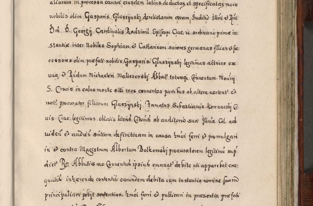Zdjęcie nr 466 dla obiektu archiwalnego: Acta actorum, obligationum, erectionum, decretorum, rovisionum, instutionum, confirmationum caeterarumque causarum et negotiorum ad forum spirituale pertinentium coram R. D. Georgio S. R. E. Cardinali presbytero Radziwiłł nuncupato, perpetuo administratore episcopatus Cracoviensis et Ducatus Severiensis, duce in Olika et Nieśież, Sacrique Romani Imperii principe ab anno 1597 ad annum 1600 diem 12 Februarii inclusive, etiam sub ansentia eius Cracoviae acticatorum.