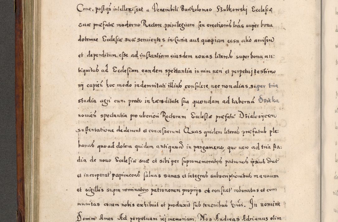 Zdjęcie nr 447 dla obiektu archiwalnego: Acta actorum, obligationum, erectionum, decretorum, rovisionum, instutionum, confirmationum caeterarumque causarum et negotiorum ad forum spirituale pertinentium coram R. D. Georgio S. R. E. Cardinali presbytero Radziwiłł nuncupato, perpetuo administratore episcopatus Cracoviensis et Ducatus Severiensis, duce in Olika et Nieśież, Sacrique Romani Imperii principe ab anno 1597 ad annum 1600 diem 12 Februarii inclusive, etiam sub ansentia eius Cracoviae acticatorum.