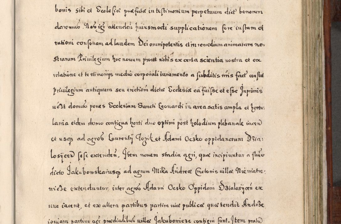 Zdjęcie nr 448 dla obiektu archiwalnego: Acta actorum, obligationum, erectionum, decretorum, rovisionum, instutionum, confirmationum caeterarumque causarum et negotiorum ad forum spirituale pertinentium coram R. D. Georgio S. R. E. Cardinali presbytero Radziwiłł nuncupato, perpetuo administratore episcopatus Cracoviensis et Ducatus Severiensis, duce in Olika et Nieśież, Sacrique Romani Imperii principe ab anno 1597 ad annum 1600 diem 12 Februarii inclusive, etiam sub ansentia eius Cracoviae acticatorum.