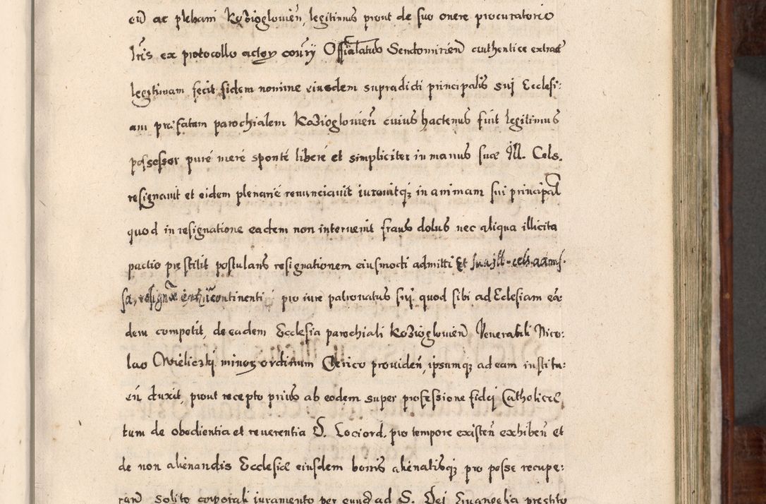 Zdjęcie nr 410 dla obiektu archiwalnego: Acta actorum, obligationum, erectionum, decretorum, rovisionum, instutionum, confirmationum caeterarumque causarum et negotiorum ad forum spirituale pertinentium coram R. D. Georgio S. R. E. Cardinali presbytero Radziwiłł nuncupato, perpetuo administratore episcopatus Cracoviensis et Ducatus Severiensis, duce in Olika et Nieśież, Sacrique Romani Imperii principe ab anno 1597 ad annum 1600 diem 12 Februarii inclusive, etiam sub ansentia eius Cracoviae acticatorum.