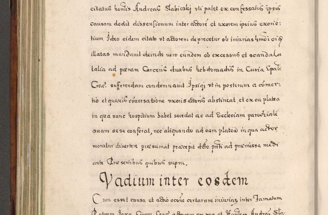 Zdjęcie nr 795 dla obiektu archiwalnego: Acta actorum, obligationum, erectionum, decretorum, rovisionum, instutionum, confirmationum caeterarumque causarum et negotiorum ad forum spirituale pertinentium coram R. D. Georgio S. R. E. Cardinali presbytero Radziwiłł nuncupato, perpetuo administratore episcopatus Cracoviensis et Ducatus Severiensis, duce in Olika et Nieśież, Sacrique Romani Imperii principe ab anno 1597 ad annum 1600 diem 12 Februarii inclusive, etiam sub ansentia eius Cracoviae acticatorum.
