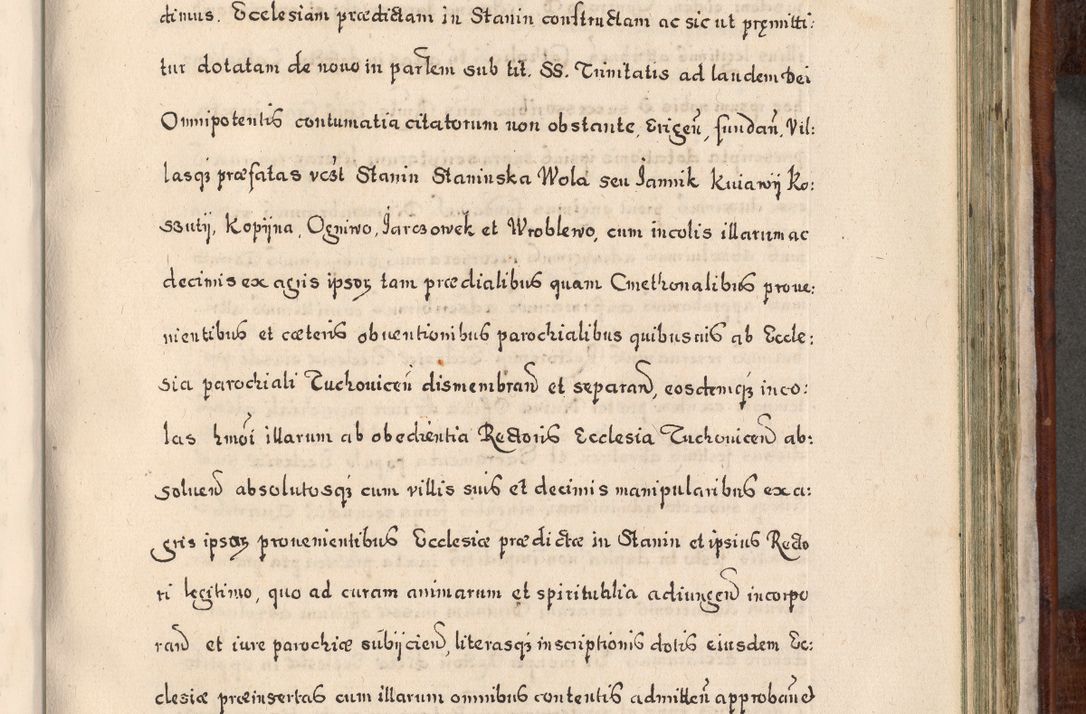 Zdjęcie nr 776 dla obiektu archiwalnego: Acta actorum, obligationum, erectionum, decretorum, rovisionum, instutionum, confirmationum caeterarumque causarum et negotiorum ad forum spirituale pertinentium coram R. D. Georgio S. R. E. Cardinali presbytero Radziwiłł nuncupato, perpetuo administratore episcopatus Cracoviensis et Ducatus Severiensis, duce in Olika et Nieśież, Sacrique Romani Imperii principe ab anno 1597 ad annum 1600 diem 12 Februarii inclusive, etiam sub ansentia eius Cracoviae acticatorum.