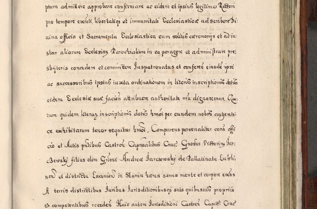 Zdjęcie nr 768 dla obiektu archiwalnego: Acta actorum, obligationum, erectionum, decretorum, rovisionum, instutionum, confirmationum caeterarumque causarum et negotiorum ad forum spirituale pertinentium coram R. D. Georgio S. R. E. Cardinali presbytero Radziwiłł nuncupato, perpetuo administratore episcopatus Cracoviensis et Ducatus Severiensis, duce in Olika et Nieśież, Sacrique Romani Imperii principe ab anno 1597 ad annum 1600 diem 12 Februarii inclusive, etiam sub ansentia eius Cracoviae acticatorum.