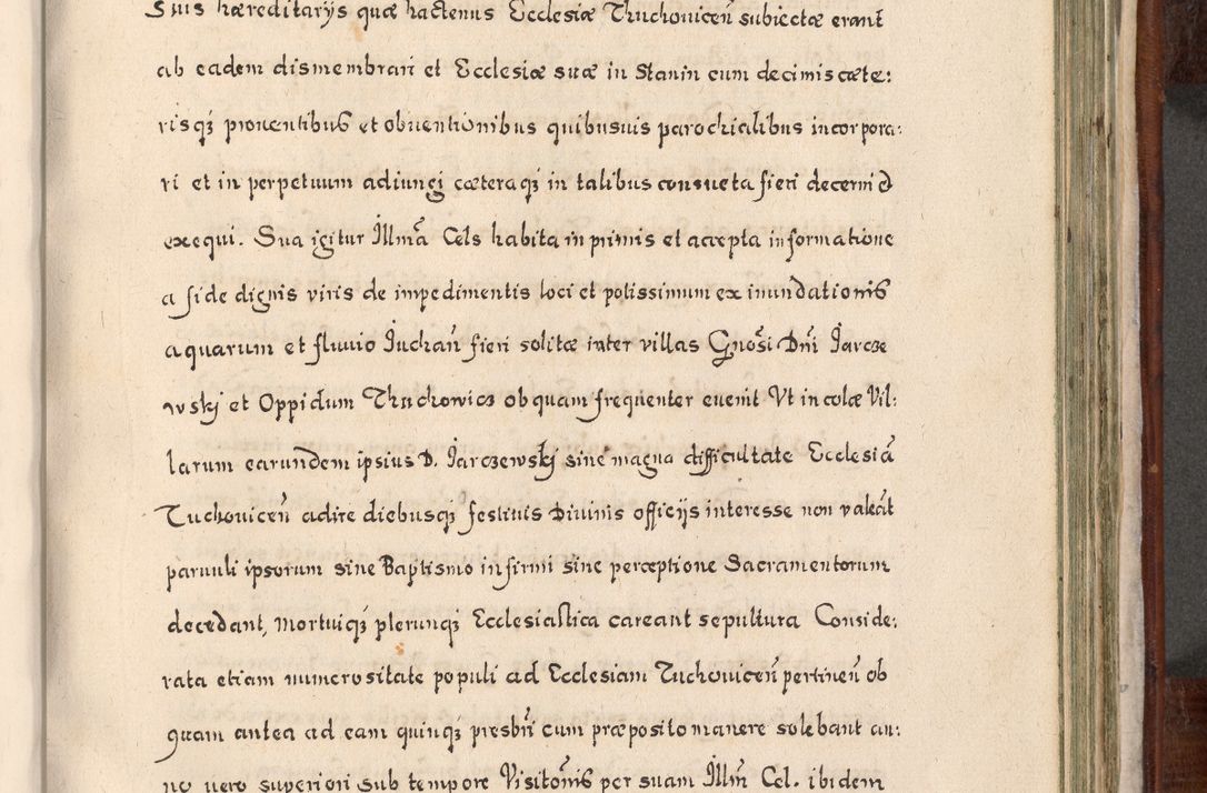 Zdjęcie nr 756 dla obiektu archiwalnego: Acta actorum, obligationum, erectionum, decretorum, rovisionum, instutionum, confirmationum caeterarumque causarum et negotiorum ad forum spirituale pertinentium coram R. D. Georgio S. R. E. Cardinali presbytero Radziwiłł nuncupato, perpetuo administratore episcopatus Cracoviensis et Ducatus Severiensis, duce in Olika et Nieśież, Sacrique Romani Imperii principe ab anno 1597 ad annum 1600 diem 12 Februarii inclusive, etiam sub ansentia eius Cracoviae acticatorum.