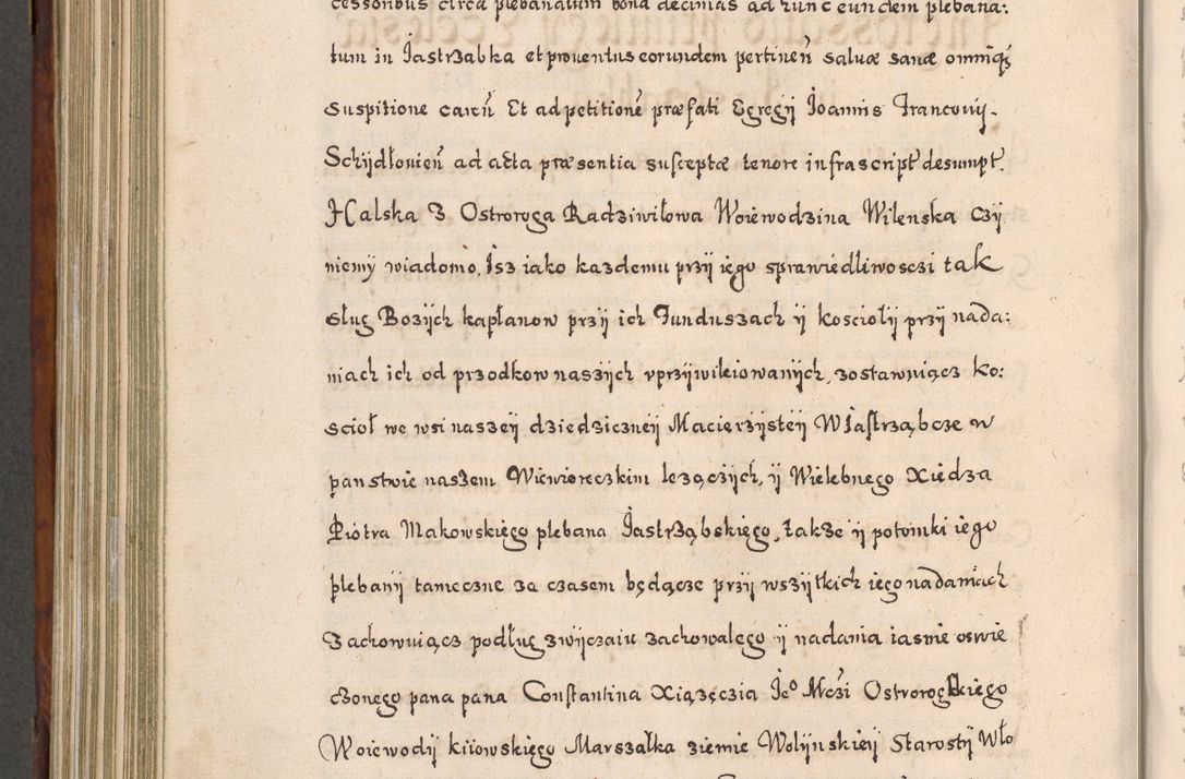Zdjęcie nr 733 dla obiektu archiwalnego: Acta actorum, obligationum, erectionum, decretorum, rovisionum, instutionum, confirmationum caeterarumque causarum et negotiorum ad forum spirituale pertinentium coram R. D. Georgio S. R. E. Cardinali presbytero Radziwiłł nuncupato, perpetuo administratore episcopatus Cracoviensis et Ducatus Severiensis, duce in Olika et Nieśież, Sacrique Romani Imperii principe ab anno 1597 ad annum 1600 diem 12 Februarii inclusive, etiam sub ansentia eius Cracoviae acticatorum.