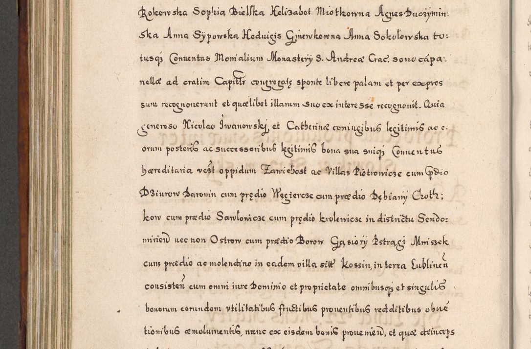 Zdjęcie nr 707 dla obiektu archiwalnego: Acta actorum, obligationum, erectionum, decretorum, rovisionum, instutionum, confirmationum caeterarumque causarum et negotiorum ad forum spirituale pertinentium coram R. D. Georgio S. R. E. Cardinali presbytero Radziwiłł nuncupato, perpetuo administratore episcopatus Cracoviensis et Ducatus Severiensis, duce in Olika et Nieśież, Sacrique Romani Imperii principe ab anno 1597 ad annum 1600 diem 12 Februarii inclusive, etiam sub ansentia eius Cracoviae acticatorum.