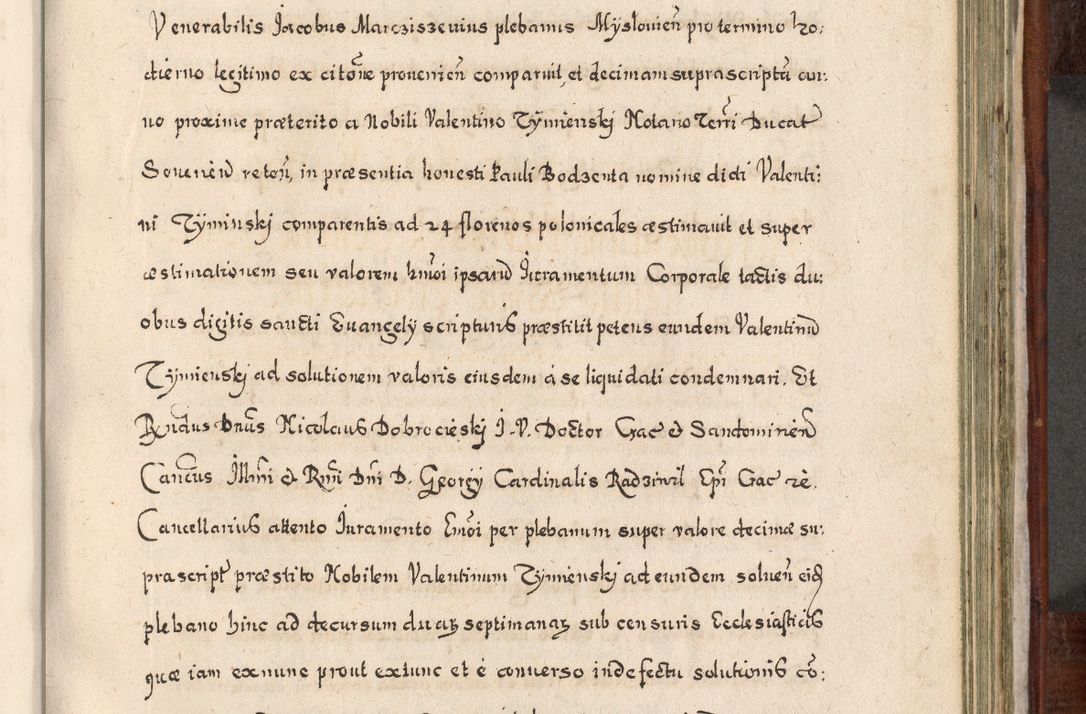 Zdjęcie nr 704 dla obiektu archiwalnego: Acta actorum, obligationum, erectionum, decretorum, rovisionum, instutionum, confirmationum caeterarumque causarum et negotiorum ad forum spirituale pertinentium coram R. D. Georgio S. R. E. Cardinali presbytero Radziwiłł nuncupato, perpetuo administratore episcopatus Cracoviensis et Ducatus Severiensis, duce in Olika et Nieśież, Sacrique Romani Imperii principe ab anno 1597 ad annum 1600 diem 12 Februarii inclusive, etiam sub ansentia eius Cracoviae acticatorum.