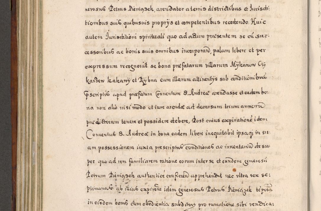Zdjęcie nr 701 dla obiektu archiwalnego: Acta actorum, obligationum, erectionum, decretorum, rovisionum, instutionum, confirmationum caeterarumque causarum et negotiorum ad forum spirituale pertinentium coram R. D. Georgio S. R. E. Cardinali presbytero Radziwiłł nuncupato, perpetuo administratore episcopatus Cracoviensis et Ducatus Severiensis, duce in Olika et Nieśież, Sacrique Romani Imperii principe ab anno 1597 ad annum 1600 diem 12 Februarii inclusive, etiam sub ansentia eius Cracoviae acticatorum.
