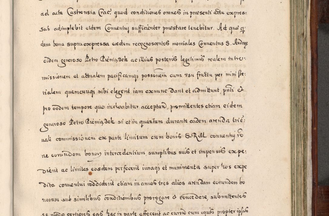 Zdjęcie nr 700 dla obiektu archiwalnego: Acta actorum, obligationum, erectionum, decretorum, rovisionum, instutionum, confirmationum caeterarumque causarum et negotiorum ad forum spirituale pertinentium coram R. D. Georgio S. R. E. Cardinali presbytero Radziwiłł nuncupato, perpetuo administratore episcopatus Cracoviensis et Ducatus Severiensis, duce in Olika et Nieśież, Sacrique Romani Imperii principe ab anno 1597 ad annum 1600 diem 12 Februarii inclusive, etiam sub ansentia eius Cracoviae acticatorum.