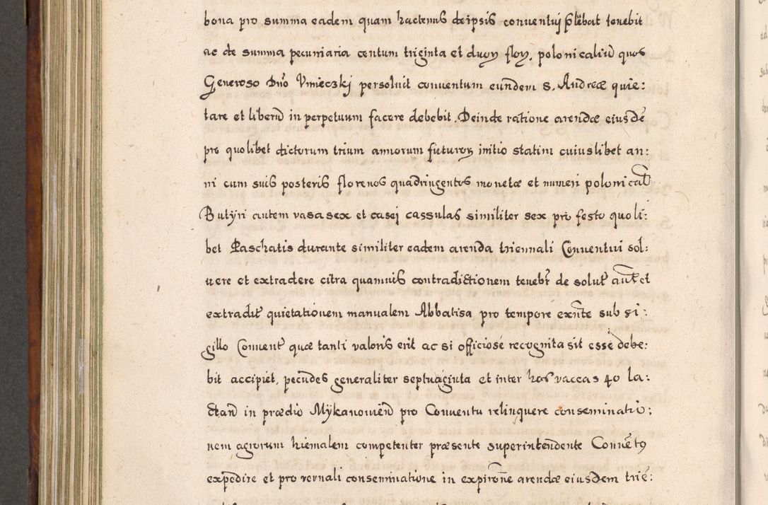 Zdjęcie nr 699 dla obiektu archiwalnego: Acta actorum, obligationum, erectionum, decretorum, rovisionum, instutionum, confirmationum caeterarumque causarum et negotiorum ad forum spirituale pertinentium coram R. D. Georgio S. R. E. Cardinali presbytero Radziwiłł nuncupato, perpetuo administratore episcopatus Cracoviensis et Ducatus Severiensis, duce in Olika et Nieśież, Sacrique Romani Imperii principe ab anno 1597 ad annum 1600 diem 12 Februarii inclusive, etiam sub ansentia eius Cracoviae acticatorum.