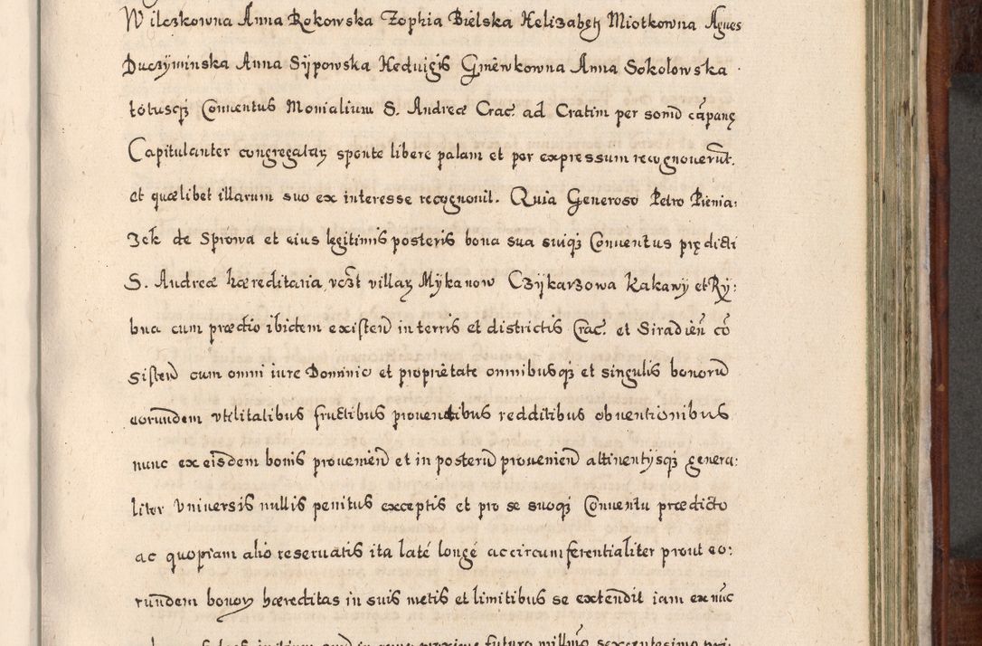 Zdjęcie nr 698 dla obiektu archiwalnego: Acta actorum, obligationum, erectionum, decretorum, rovisionum, instutionum, confirmationum caeterarumque causarum et negotiorum ad forum spirituale pertinentium coram R. D. Georgio S. R. E. Cardinali presbytero Radziwiłł nuncupato, perpetuo administratore episcopatus Cracoviensis et Ducatus Severiensis, duce in Olika et Nieśież, Sacrique Romani Imperii principe ab anno 1597 ad annum 1600 diem 12 Februarii inclusive, etiam sub ansentia eius Cracoviae acticatorum.