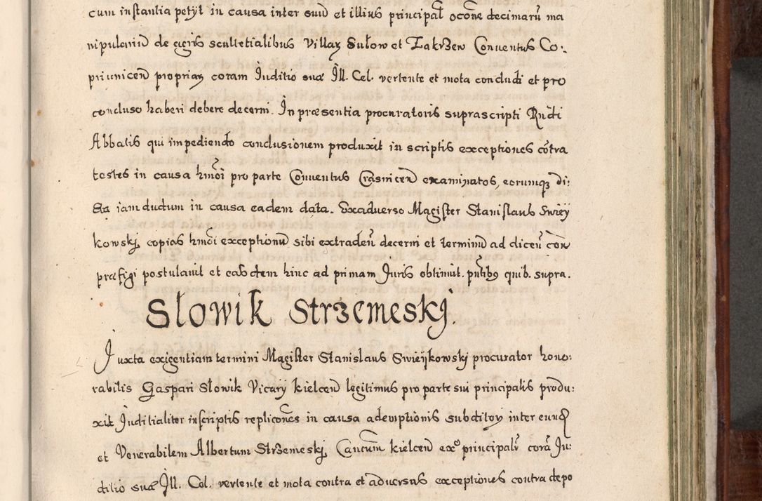 Zdjęcie nr 690 dla obiektu archiwalnego: Acta actorum, obligationum, erectionum, decretorum, rovisionum, instutionum, confirmationum caeterarumque causarum et negotiorum ad forum spirituale pertinentium coram R. D. Georgio S. R. E. Cardinali presbytero Radziwiłł nuncupato, perpetuo administratore episcopatus Cracoviensis et Ducatus Severiensis, duce in Olika et Nieśież, Sacrique Romani Imperii principe ab anno 1597 ad annum 1600 diem 12 Februarii inclusive, etiam sub ansentia eius Cracoviae acticatorum.