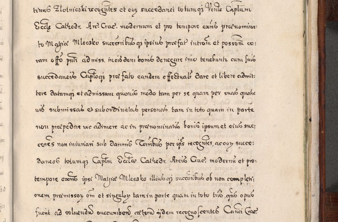 Zdjęcie nr 1000 dla obiektu archiwalnego: Acta actorum, obligationum, erectionum, decretorum, rovisionum, instutionum, confirmationum caeterarumque causarum et negotiorum ad forum spirituale pertinentium coram R. D. Georgio S. R. E. Cardinali presbytero Radziwiłł nuncupato, perpetuo administratore episcopatus Cracoviensis et Ducatus Severiensis, duce in Olika et Nieśież, Sacrique Romani Imperii principe ab anno 1597 ad annum 1600 diem 12 Februarii inclusive, etiam sub ansentia eius Cracoviae acticatorum.