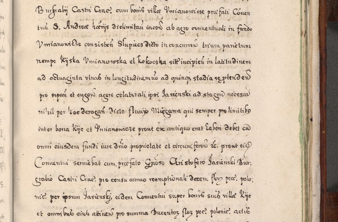 Zdjęcie nr 992 dla obiektu archiwalnego: Acta actorum, obligationum, erectionum, decretorum, rovisionum, instutionum, confirmationum caeterarumque causarum et negotiorum ad forum spirituale pertinentium coram R. D. Georgio S. R. E. Cardinali presbytero Radziwiłł nuncupato, perpetuo administratore episcopatus Cracoviensis et Ducatus Severiensis, duce in Olika et Nieśież, Sacrique Romani Imperii principe ab anno 1597 ad annum 1600 diem 12 Februarii inclusive, etiam sub ansentia eius Cracoviae acticatorum.