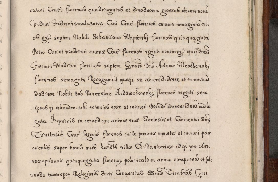 Zdjęcie nr 986 dla obiektu archiwalnego: Acta actorum, obligationum, erectionum, decretorum, rovisionum, instutionum, confirmationum caeterarumque causarum et negotiorum ad forum spirituale pertinentium coram R. D. Georgio S. R. E. Cardinali presbytero Radziwiłł nuncupato, perpetuo administratore episcopatus Cracoviensis et Ducatus Severiensis, duce in Olika et Nieśież, Sacrique Romani Imperii principe ab anno 1597 ad annum 1600 diem 12 Februarii inclusive, etiam sub ansentia eius Cracoviae acticatorum.