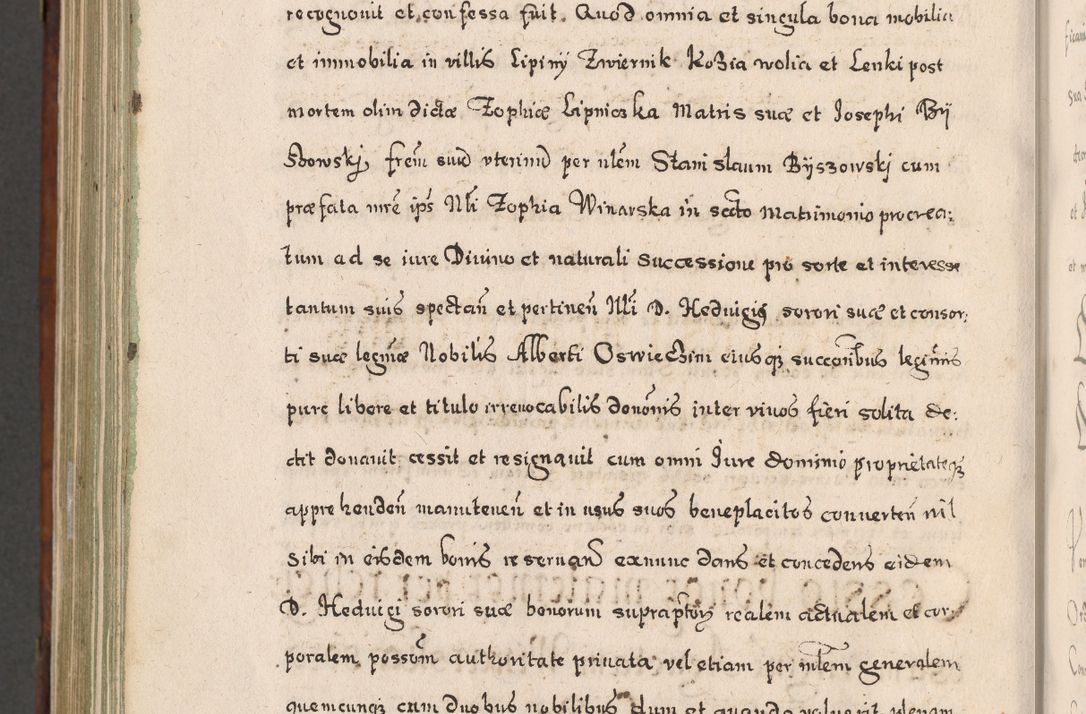 Zdjęcie nr 983 dla obiektu archiwalnego: Acta actorum, obligationum, erectionum, decretorum, rovisionum, instutionum, confirmationum caeterarumque causarum et negotiorum ad forum spirituale pertinentium coram R. D. Georgio S. R. E. Cardinali presbytero Radziwiłł nuncupato, perpetuo administratore episcopatus Cracoviensis et Ducatus Severiensis, duce in Olika et Nieśież, Sacrique Romani Imperii principe ab anno 1597 ad annum 1600 diem 12 Februarii inclusive, etiam sub ansentia eius Cracoviae acticatorum.