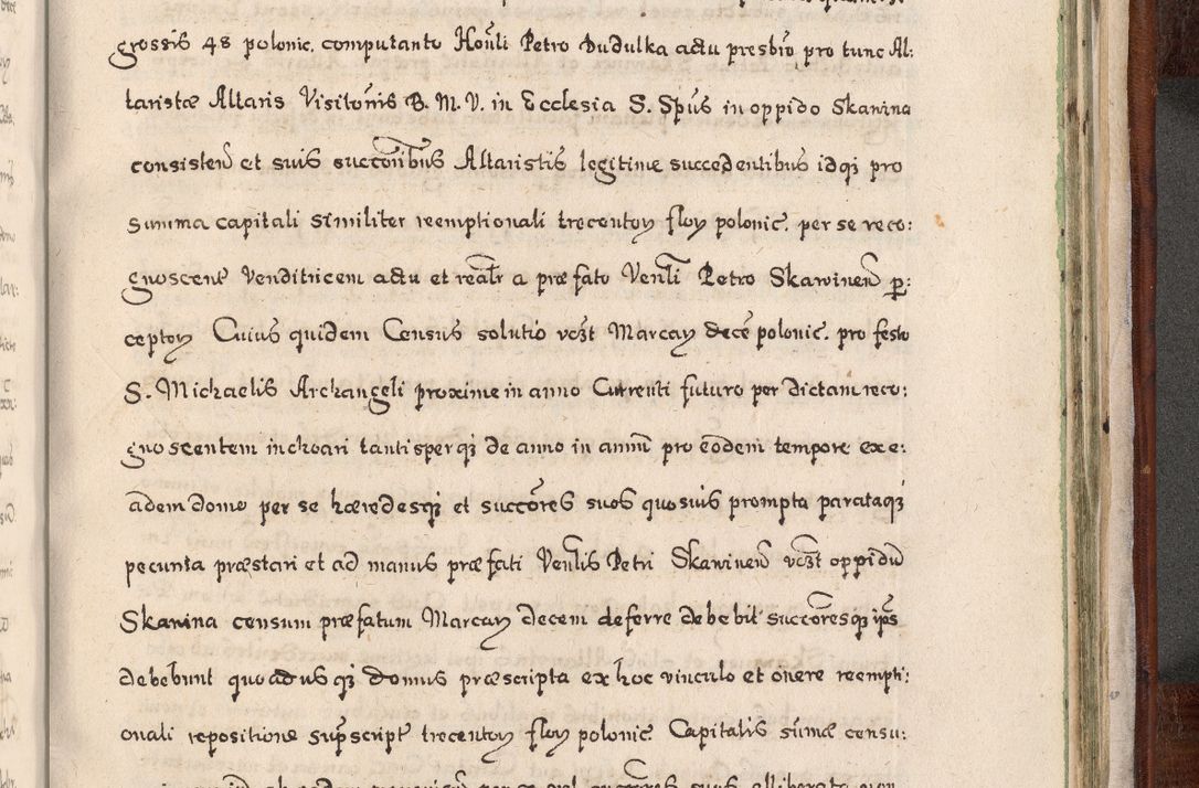 Zdjęcie nr 972 dla obiektu archiwalnego: Acta actorum, obligationum, erectionum, decretorum, rovisionum, instutionum, confirmationum caeterarumque causarum et negotiorum ad forum spirituale pertinentium coram R. D. Georgio S. R. E. Cardinali presbytero Radziwiłł nuncupato, perpetuo administratore episcopatus Cracoviensis et Ducatus Severiensis, duce in Olika et Nieśież, Sacrique Romani Imperii principe ab anno 1597 ad annum 1600 diem 12 Februarii inclusive, etiam sub ansentia eius Cracoviae acticatorum.