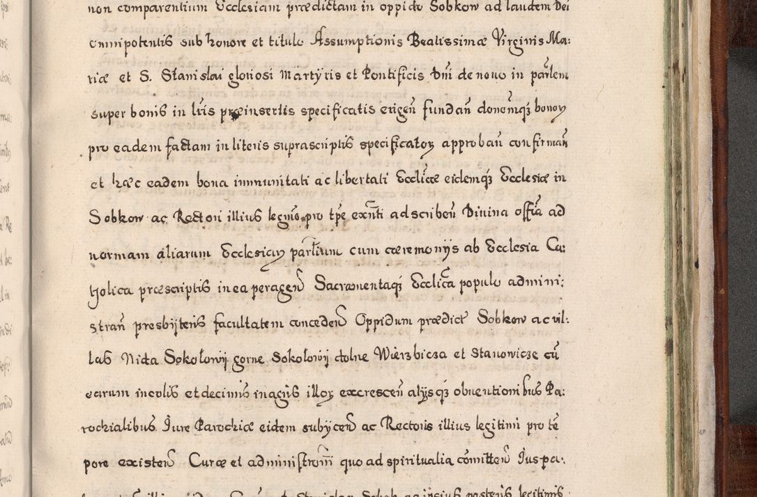 Zdjęcie nr 954 dla obiektu archiwalnego: Acta actorum, obligationum, erectionum, decretorum, rovisionum, instutionum, confirmationum caeterarumque causarum et negotiorum ad forum spirituale pertinentium coram R. D. Georgio S. R. E. Cardinali presbytero Radziwiłł nuncupato, perpetuo administratore episcopatus Cracoviensis et Ducatus Severiensis, duce in Olika et Nieśież, Sacrique Romani Imperii principe ab anno 1597 ad annum 1600 diem 12 Februarii inclusive, etiam sub ansentia eius Cracoviae acticatorum.
