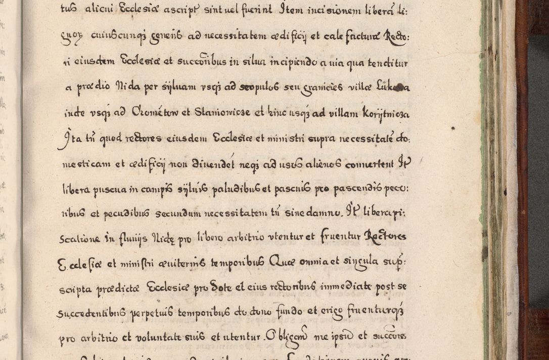 Zdjęcie nr 952 dla obiektu archiwalnego: Acta actorum, obligationum, erectionum, decretorum, rovisionum, instutionum, confirmationum caeterarumque causarum et negotiorum ad forum spirituale pertinentium coram R. D. Georgio S. R. E. Cardinali presbytero Radziwiłł nuncupato, perpetuo administratore episcopatus Cracoviensis et Ducatus Severiensis, duce in Olika et Nieśież, Sacrique Romani Imperii principe ab anno 1597 ad annum 1600 diem 12 Februarii inclusive, etiam sub ansentia eius Cracoviae acticatorum.