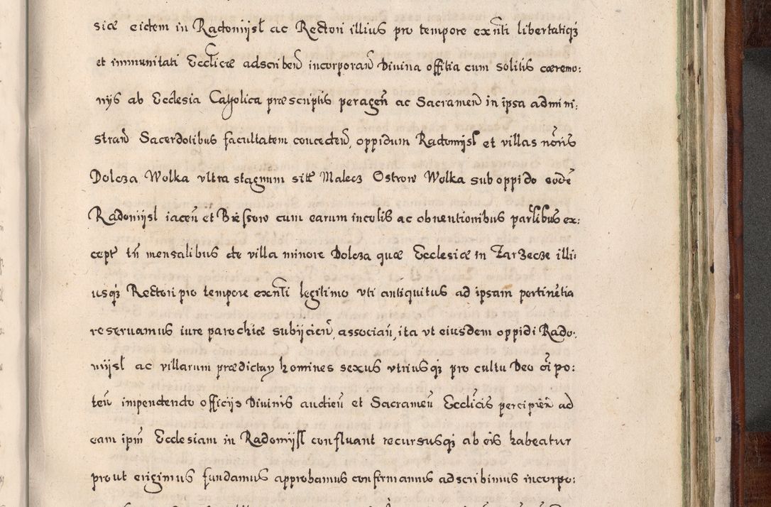 Zdjęcie nr 924 dla obiektu archiwalnego: Acta actorum, obligationum, erectionum, decretorum, rovisionum, instutionum, confirmationum caeterarumque causarum et negotiorum ad forum spirituale pertinentium coram R. D. Georgio S. R. E. Cardinali presbytero Radziwiłł nuncupato, perpetuo administratore episcopatus Cracoviensis et Ducatus Severiensis, duce in Olika et Nieśież, Sacrique Romani Imperii principe ab anno 1597 ad annum 1600 diem 12 Februarii inclusive, etiam sub ansentia eius Cracoviae acticatorum.