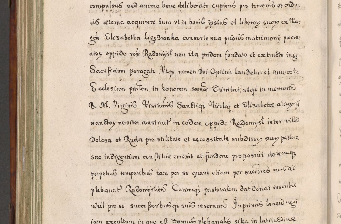 Zdjęcie nr 921 dla obiektu archiwalnego: Acta actorum, obligationum, erectionum, decretorum, rovisionum, instutionum, confirmationum caeterarumque causarum et negotiorum ad forum spirituale pertinentium coram R. D. Georgio S. R. E. Cardinali presbytero Radziwiłł nuncupato, perpetuo administratore episcopatus Cracoviensis et Ducatus Severiensis, duce in Olika et Nieśież, Sacrique Romani Imperii principe ab anno 1597 ad annum 1600 diem 12 Februarii inclusive, etiam sub ansentia eius Cracoviae acticatorum.