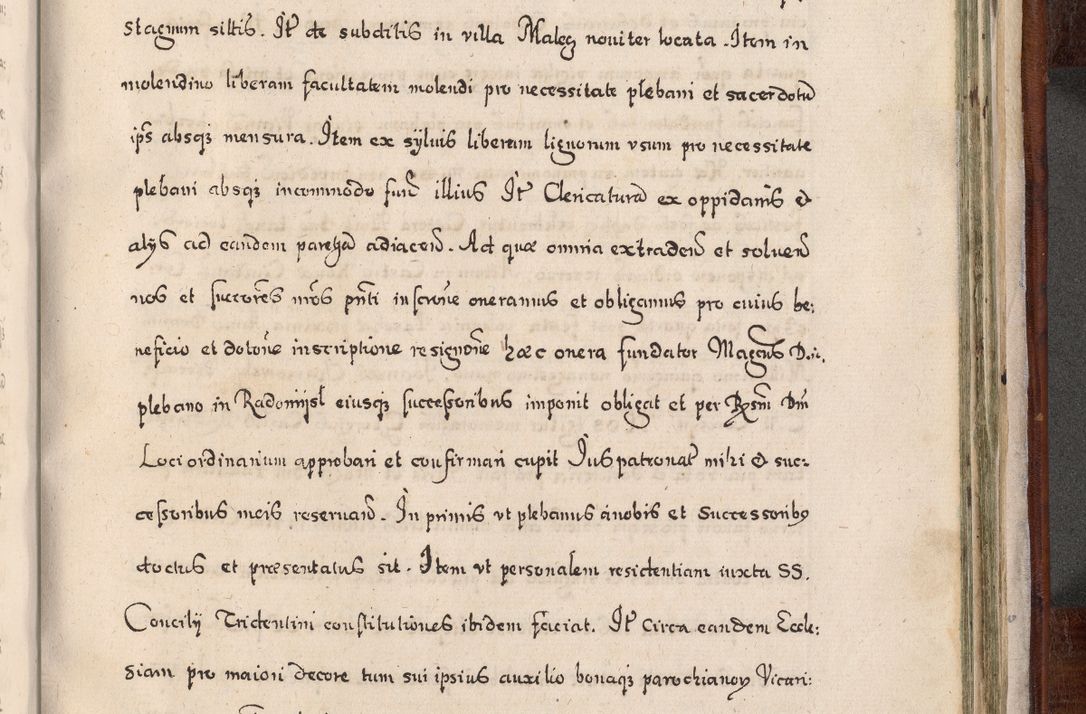 Zdjęcie nr 922 dla obiektu archiwalnego: Acta actorum, obligationum, erectionum, decretorum, rovisionum, instutionum, confirmationum caeterarumque causarum et negotiorum ad forum spirituale pertinentium coram R. D. Georgio S. R. E. Cardinali presbytero Radziwiłł nuncupato, perpetuo administratore episcopatus Cracoviensis et Ducatus Severiensis, duce in Olika et Nieśież, Sacrique Romani Imperii principe ab anno 1597 ad annum 1600 diem 12 Februarii inclusive, etiam sub ansentia eius Cracoviae acticatorum.