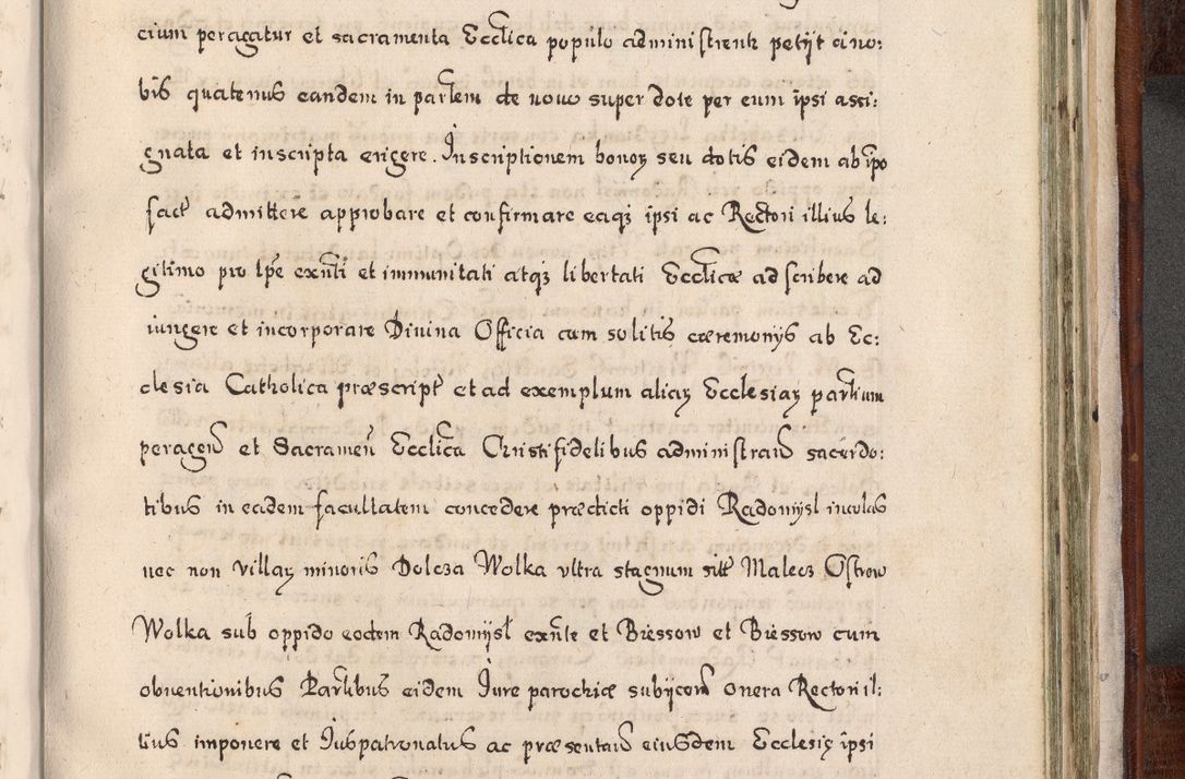 Zdjęcie nr 920 dla obiektu archiwalnego: Acta actorum, obligationum, erectionum, decretorum, rovisionum, instutionum, confirmationum caeterarumque causarum et negotiorum ad forum spirituale pertinentium coram R. D. Georgio S. R. E. Cardinali presbytero Radziwiłł nuncupato, perpetuo administratore episcopatus Cracoviensis et Ducatus Severiensis, duce in Olika et Nieśież, Sacrique Romani Imperii principe ab anno 1597 ad annum 1600 diem 12 Februarii inclusive, etiam sub ansentia eius Cracoviae acticatorum.