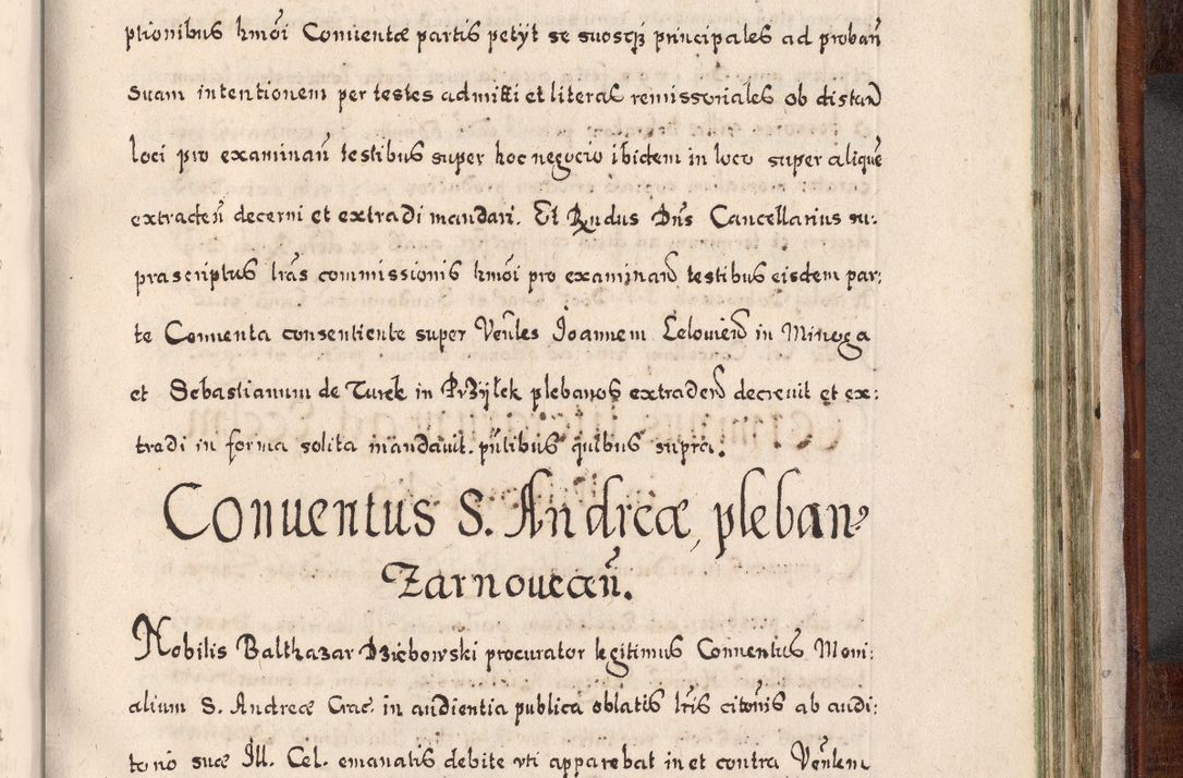 Zdjęcie nr 910 dla obiektu archiwalnego: Acta actorum, obligationum, erectionum, decretorum, rovisionum, instutionum, confirmationum caeterarumque causarum et negotiorum ad forum spirituale pertinentium coram R. D. Georgio S. R. E. Cardinali presbytero Radziwiłł nuncupato, perpetuo administratore episcopatus Cracoviensis et Ducatus Severiensis, duce in Olika et Nieśież, Sacrique Romani Imperii principe ab anno 1597 ad annum 1600 diem 12 Februarii inclusive, etiam sub ansentia eius Cracoviae acticatorum.