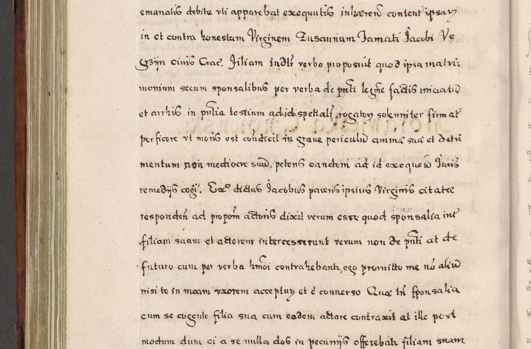 Zdjęcie nr 897 dla obiektu archiwalnego: Acta actorum, obligationum, erectionum, decretorum, rovisionum, instutionum, confirmationum caeterarumque causarum et negotiorum ad forum spirituale pertinentium coram R. D. Georgio S. R. E. Cardinali presbytero Radziwiłł nuncupato, perpetuo administratore episcopatus Cracoviensis et Ducatus Severiensis, duce in Olika et Nieśież, Sacrique Romani Imperii principe ab anno 1597 ad annum 1600 diem 12 Februarii inclusive, etiam sub ansentia eius Cracoviae acticatorum.