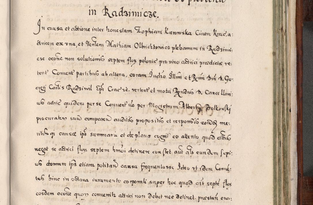 Zdjęcie nr 898 dla obiektu archiwalnego: Acta actorum, obligationum, erectionum, decretorum, rovisionum, instutionum, confirmationum caeterarumque causarum et negotiorum ad forum spirituale pertinentium coram R. D. Georgio S. R. E. Cardinali presbytero Radziwiłł nuncupato, perpetuo administratore episcopatus Cracoviensis et Ducatus Severiensis, duce in Olika et Nieśież, Sacrique Romani Imperii principe ab anno 1597 ad annum 1600 diem 12 Februarii inclusive, etiam sub ansentia eius Cracoviae acticatorum.