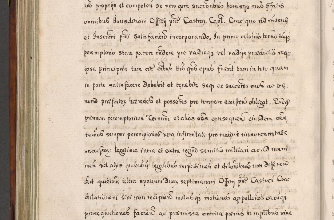 Zdjęcie nr 885 dla obiektu archiwalnego: Acta actorum, obligationum, erectionum, decretorum, rovisionum, instutionum, confirmationum caeterarumque causarum et negotiorum ad forum spirituale pertinentium coram R. D. Georgio S. R. E. Cardinali presbytero Radziwiłł nuncupato, perpetuo administratore episcopatus Cracoviensis et Ducatus Severiensis, duce in Olika et Nieśież, Sacrique Romani Imperii principe ab anno 1597 ad annum 1600 diem 12 Februarii inclusive, etiam sub ansentia eius Cracoviae acticatorum.