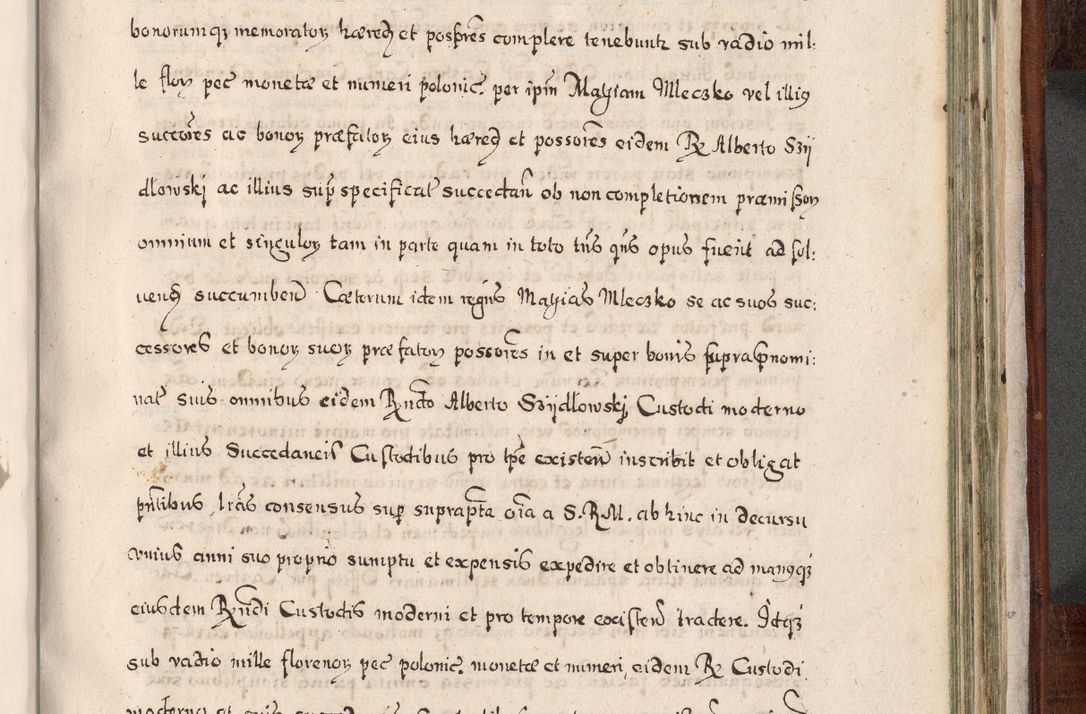 Zdjęcie nr 884 dla obiektu archiwalnego: Acta actorum, obligationum, erectionum, decretorum, rovisionum, instutionum, confirmationum caeterarumque causarum et negotiorum ad forum spirituale pertinentium coram R. D. Georgio S. R. E. Cardinali presbytero Radziwiłł nuncupato, perpetuo administratore episcopatus Cracoviensis et Ducatus Severiensis, duce in Olika et Nieśież, Sacrique Romani Imperii principe ab anno 1597 ad annum 1600 diem 12 Februarii inclusive, etiam sub ansentia eius Cracoviae acticatorum.