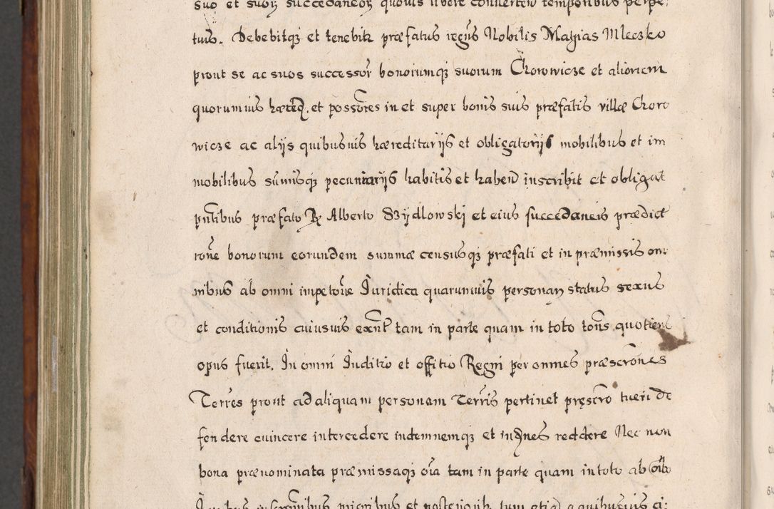 Zdjęcie nr 883 dla obiektu archiwalnego: Acta actorum, obligationum, erectionum, decretorum, rovisionum, instutionum, confirmationum caeterarumque causarum et negotiorum ad forum spirituale pertinentium coram R. D. Georgio S. R. E. Cardinali presbytero Radziwiłł nuncupato, perpetuo administratore episcopatus Cracoviensis et Ducatus Severiensis, duce in Olika et Nieśież, Sacrique Romani Imperii principe ab anno 1597 ad annum 1600 diem 12 Februarii inclusive, etiam sub ansentia eius Cracoviae acticatorum.